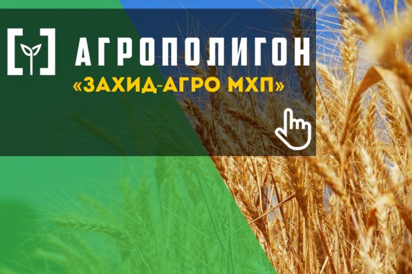 социальный трейдинг